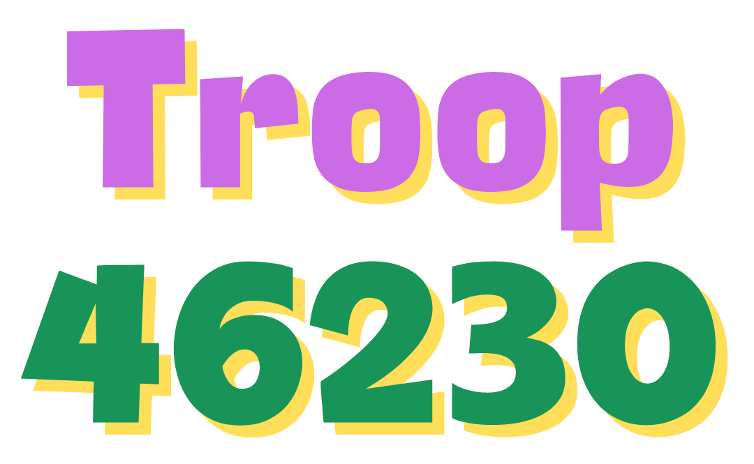 Troop 46230